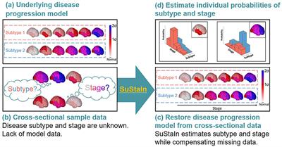 Temporal Progression Patterns of Brain Atrophy in Corticobasal Syndrome and Progressive Supranuclear Palsy Revealed by Subtype and Stage Inference (SuStaIn)